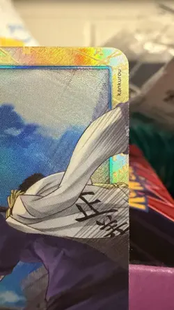 One Piece English PRB02 Alt Art Gravity Blade Raging Tiger OP06-058 R - Image 4