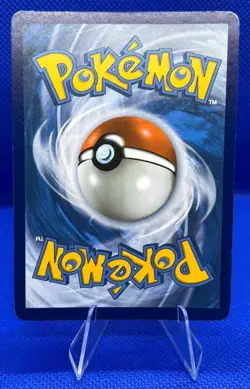 2019-2023 Pokemon Sw/Sh Black Star Promos Greninja #SWSH144 (A) - Image 2