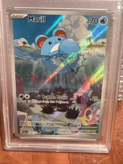 2023 Pokemon Marill #204 PAL Illustration Rare PSA 9 Mint Scarlet & Violet - Image 2