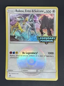 2018 Pokemon Raikou Entei & Suicune Legendary Oversized Jumbo Black Star Promo - Image 1