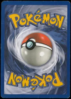 1ST Edition Pidgeot 24/64 Pokemon TCG Jungle Set Non-Holo Rare - Image 2