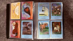 Bella Sara Trading Card Binder Lot – 74 Cards (2007–2009) Foils! Rares! - Image 5