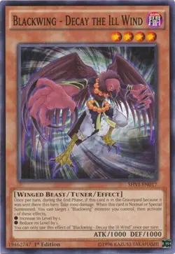 Blackwing - Decay the Ill Wind - SHVI-EN017 - Common 1st Edition Yugioh - Image 1