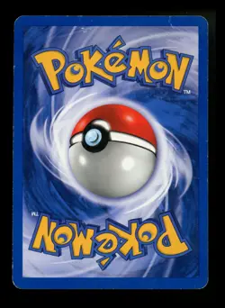 Raikou 13/64 Neo Revelation 2000 Holo Rare WOTC Pokemon Card TCG - Image 2