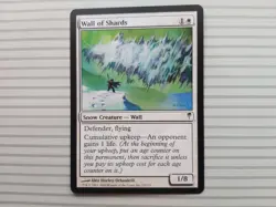 Magic: The Gathering Card - Coldsnap ~ Uncommon ~ Wall of Shards - Image 1
