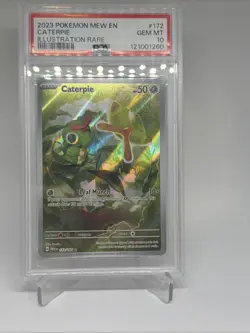 2023 Pokemon Caterpie 172/165 Sv: Scarlet & Violet 151 Illustration Rare PSA 10 - Image 2