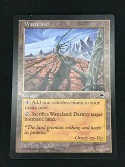 Magic the Gathering MTG Wasteland Land Tempest Uncommon - Image 1