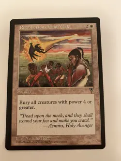 MTG NM Retribution of The Meek Visions - Image 1