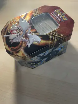 Pokemon 300 Pokemon TCG Trading Cards Collection With Pokemon Ex Tin - HP - NM 636996769661 - Image 5