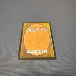 Magic the Gathering #263 Abandoned Air Temple Foil - Image 2