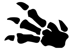 WOTC Fossil singles /62 Rare Uncommon and Common vintage Pokemon cards - Image 1