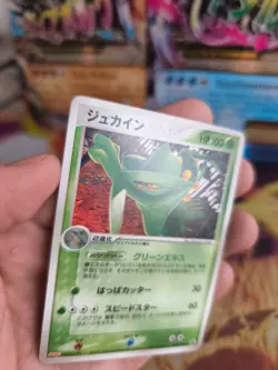 Pokemon Karte Card Sceptile Gewaldro Meiji Chocolate Pcg Promo japanese NM - Image 2