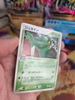 Pokemon Karte Card Sceptile Gewaldro Meiji Chocolate Pcg Promo japanese NM - Image 4