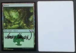 MtG Magic Jim Nelson Artist Proof _ FOIL Magic 2020 M20 _ FOREST _ VHTF 1/30! - Image 1