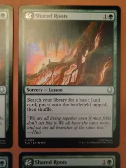 4x Shared Roots **NEAR MINT** **UNPLAYED** MTG - Image 3
