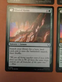 4x Shared Roots **NEAR MINT** **UNPLAYED** MTG - Image 5