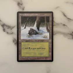 Snow-Covered Forest LP Ice Age 1995 Magic: The Gathering Card MTG TCG - Image 1