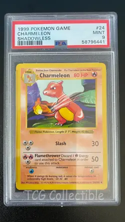 PSA 9 MINT Charmeleon 24 SHADOWLESS 1999 Base Set WOTC Pokemon Card - Image 1