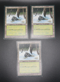 3x Snow-covered Forest - Ice Age - MTG - Magic the Gathering - LP - Image 1