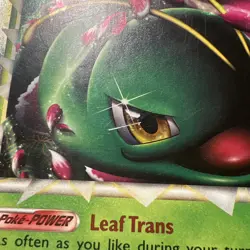 Pokemon TCG: Meganium Prime HGSS08 Black Star Promo HP - Image 2