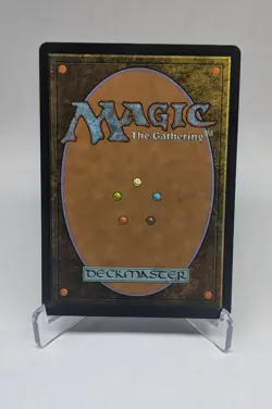 Ajani, Outland Chaperone (Borderless) Magic MTG Lorwyn Eclipsed Foil #284 - Image 2