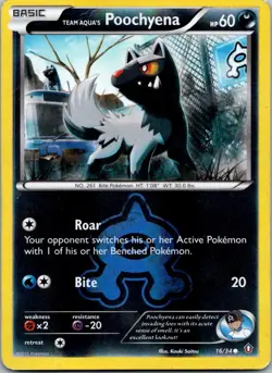Pokemon -Team Aqua’s Poochyena - 16/34 - Reverse Holo - Double Crisis - NM/M - Image 1