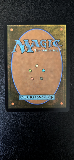 MTG: Avatar the Last Airbender TLA - 0072 Wan Shi Tong, Librarian (Reg) Mint - Image 2