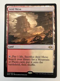 Arid Mesa - Near Mint - Modern Horizons 2 - Magic the Gathering 244 MTG - Image 1