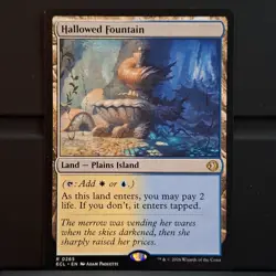 Magic MTG - TCG - Hallowed Fountain (265) - Normal - Lorwyn Eclipsed (ECL) - NM - Image 1