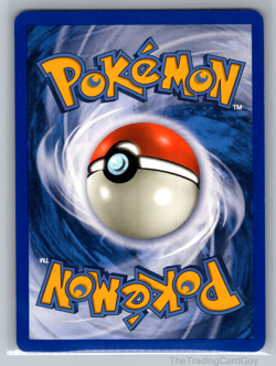 Pokemon Card Piloswine 43/144 common 2003 Skyridge LP - Image 2