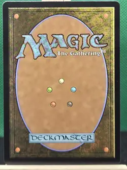 Winnowing (Showcase) Lorwyn Eclipsed Foil - Image 2