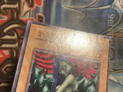 Yugioh Japanese Common Arlownay No_Ref Initial First OCG Vol.7 2000 MP - Image 3