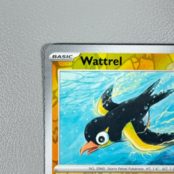 Pokemon TCG Card - Wattrel 81/193 Reverse Holo Common | 2023 Paldea Evolved | NM - Image 4