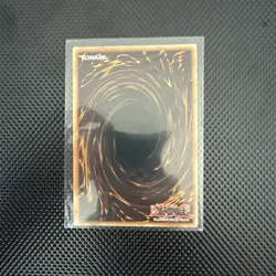 Dark Magician (B) YGLD-ENB02 King of Games: Yugi's Legendary Decks 1st Edition - Image 2
