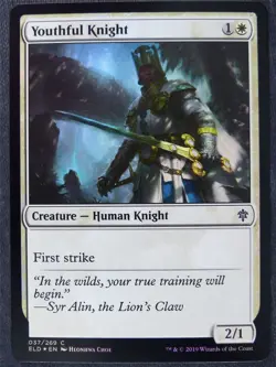 Youthful Knight Foil - Mtg Magic Cards #PQ - Image 1