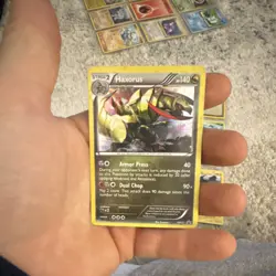 Pokemon TCG 9 Card Lot - Haxorus, Raikou, Zekrom, Diglett, Geodude - Image 2