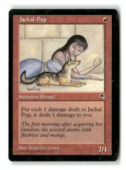 Jackal Pup U Tempest 183 MP - Image 1