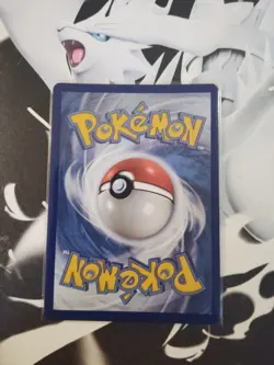 Houndoom TG10/TG30 Trainer Gallery Single Strike Pokemon TCG Brilliant Stars - Image 2
