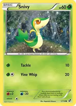 Snivy 1/114 Cosmos Holo Pokemon Card 2011 Black & White LP - Image 1