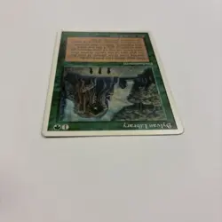 Sylvan Library LP 4th Fourth Edition 4ED 1995 English Regular 273 - Image 4