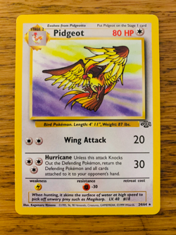 Pidgeot (24/64) Non Holo Jungle Set Rare Pokemon Card! FAST & FREE P&P! - Image 1