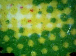 MTG Magic the Gathering Smothering Tithe (22/296) Ravnica Allegiance LP #1 - Image 2