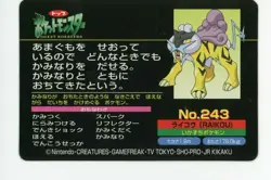 Pokemon Card Japanese Raikou VS Slowbro No. 243 Topsun Top Battle PL - Image 2