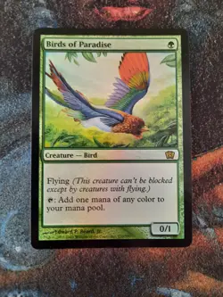MTG Magic the Gathering - FOIL Birds of Paradise - 8th Eighth Edition - Ex Cond - Image 1
