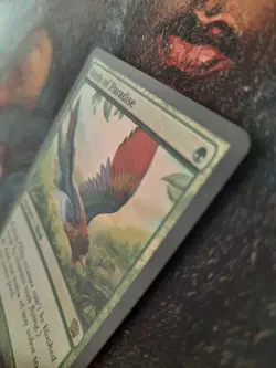 MTG Magic the Gathering - FOIL Birds of Paradise - 8th Eighth Edition - Ex Cond - Image 3