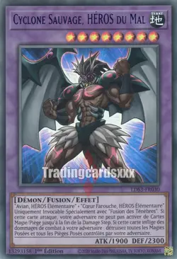 Yu-Gi-Oh! Cyclone Sauvage, HEROS du Mal : UR LDS3-FR030 - Image 3