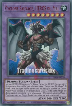 Yu-Gi-Oh! Cyclone Sauvage, HEROS du Mal : UR LDS3-FR030 - Image 4