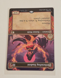 Firebending Student (Showcase) Avatar: The Last Airbender Regular - Image 2