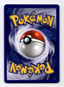 Zapdos WoTC Promo #23 (2023) Promo Promo NM Pokemon - Image 2
