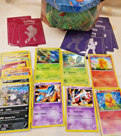 2015 Pokemon Swampert EX Hoenn Power Tin Card Storage Mewtwo Sleeves + 24 Cards - Image 2